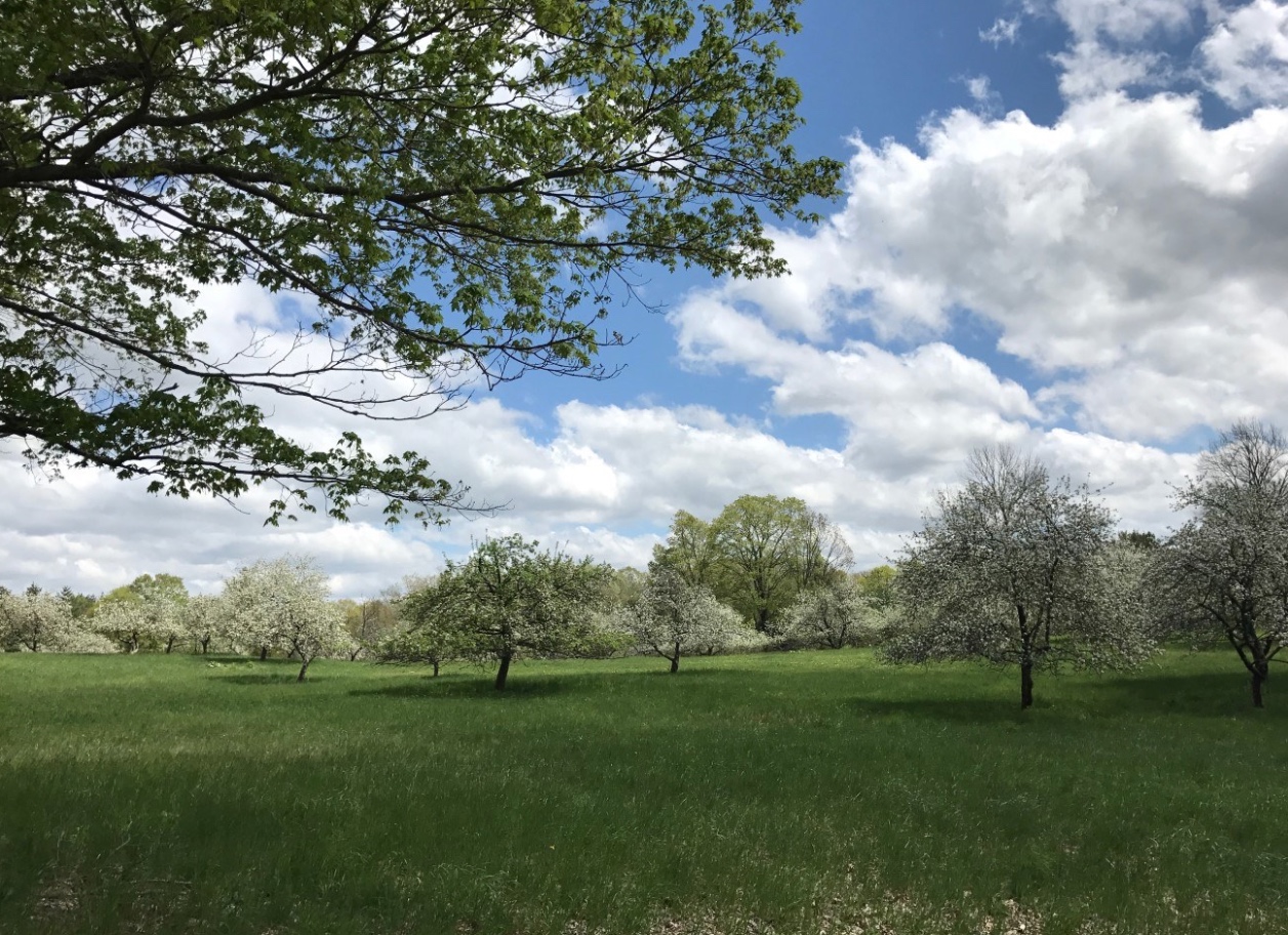 Land,For Sale,1059